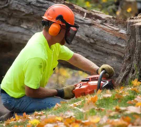 tree services Scottsbluff